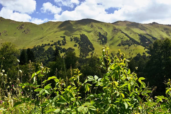 Letní Hory Zelená Tráva Modrá Obloha Krajina Kavkazské Hory — Stock fotografie