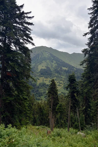 Verano Montañas Hierba Verde Cielo Azul Paisaje Montañas Del Cáucaso — Foto de Stock