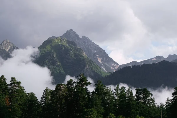 Niebla Densa Las Montañas Del Cáucaso — Foto de Stock