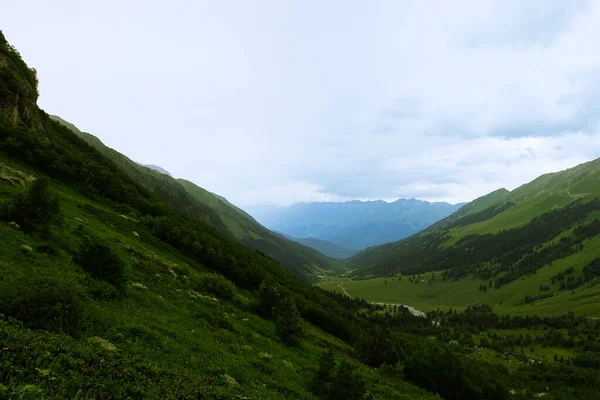 夏の山の緑の草と青空の風景 コーカサス山脈 — ストック写真