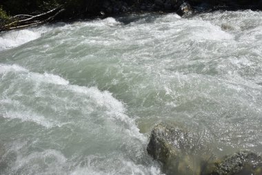 Dağ nehri su manzarası. Dağlardaki vahşi nehir. Dağ vahşi nehir manzarası