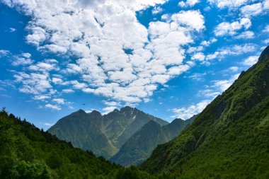 Kuzey Osetya 'nın güzel kırsal manzarası. Güneşli bir gün. Dağlardaki güzel yaz manzarası. Otlaklar ve tepeler. Kırsal alanlar