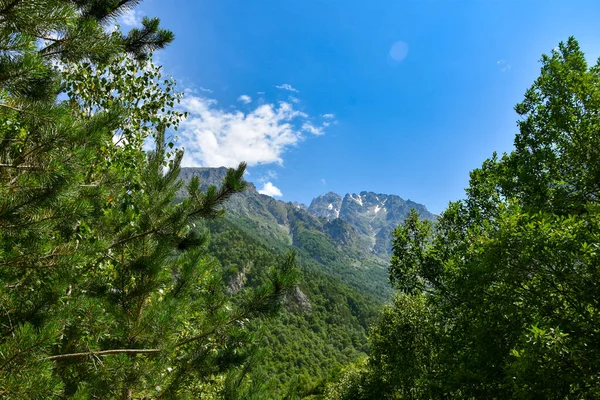 Vista Del Hermoso Campo Osetia Del Norte Día Soleado Hermoso — Foto de Stock