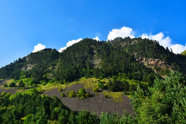 Vista Del Hermoso Campo Osetia Del Norte Día Soleado Hermoso — Foto de Stock