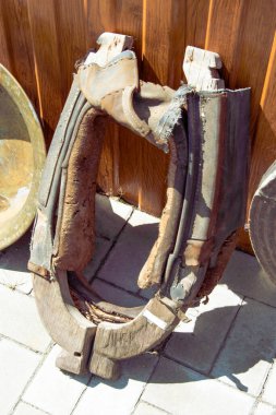 Yaşlı at kıskacı. At tasması