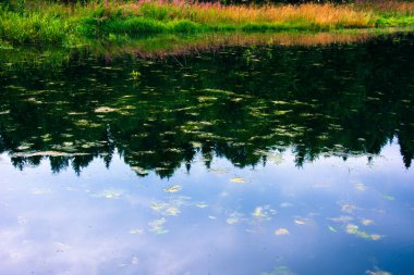 Orman nehri yapay bir baraj tarafından tıkandı. Selden küçük bir göl oluştu. Ekolojik denge insanlar tarafından bozulur. Kuzey ormanları, tayga