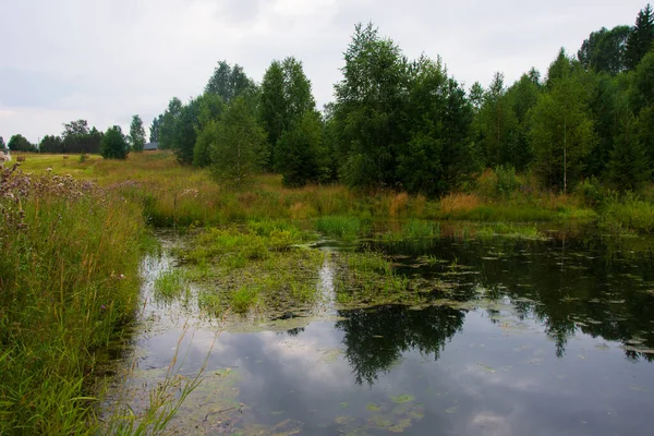 Skogsfloden Blockerad Konstgjord Damm Liten Sjö Bildades Floden Den Ekologiska — Stockfoto
