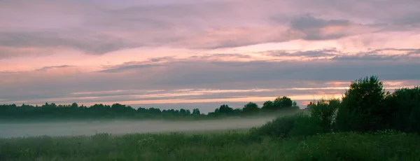 Nebel Über Einem Feld Einem Dorf Einem Sommerabend Geringe Schärfentiefe — Stockfoto