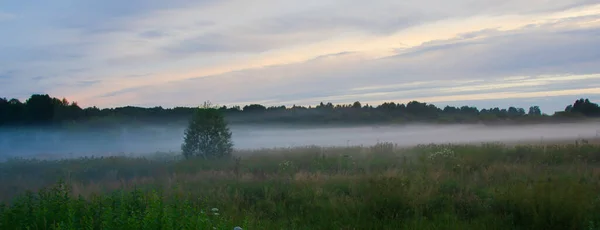 Fog Field Village Summer Evening Low Depth Field — Stock Photo, Image
