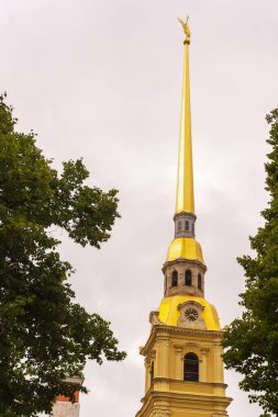 Peter ve Paul Katedrali 'nin kulesi ve kulesi St. Petersburg, Rusya