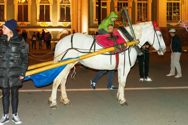 Russland Sankt Petersburg August 2020 Schimmel Auf Dem Palastplatz Sankt — Stockfoto