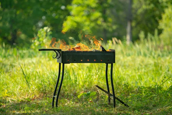 Brasero Las Piernas Con Madera Ardiendo Ella Sobre Fondo Follaje —  Fotos de Stock