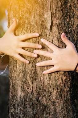 El kadın kucaklama ağaç aşk orman ve trees.concept aşk doğa için