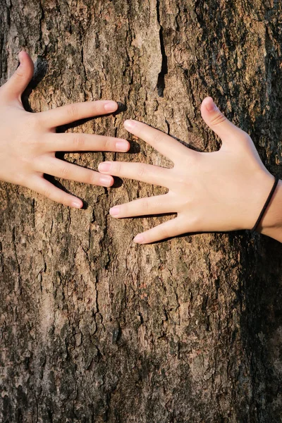 Mano Mujer Abrazo Árbol Amor Bosques Árboles Concept Para Amor — Foto de Stock