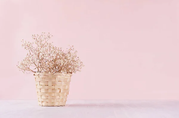 Pequenas Flores Secas Brancas Cesta Vime Bege Fundo Pastel Rosa — Fotografia de Stock