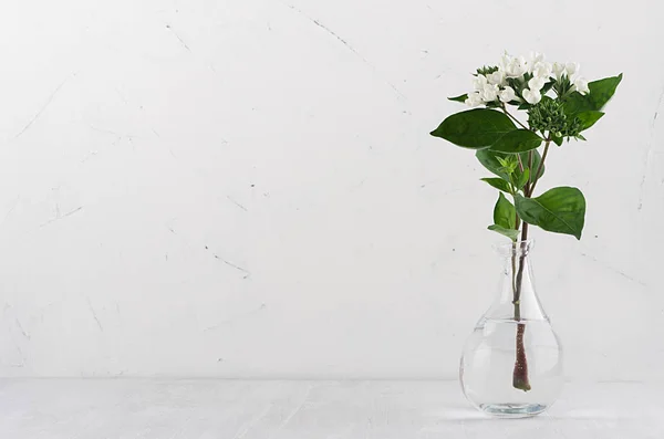 Sanfte Minimalistische Bouquet Exquisiter Transparenter Vase Mit Weißen Kleinen Blüten — Stockfoto