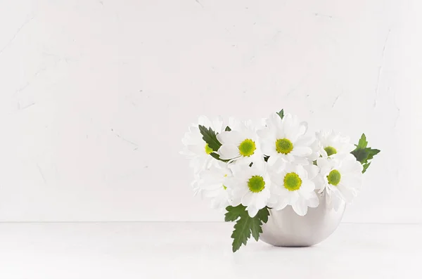 Schöne Frische Frühlingshafte Weiße Gerberas Mit Gelben Augen Silberner Moderner — Stockfoto