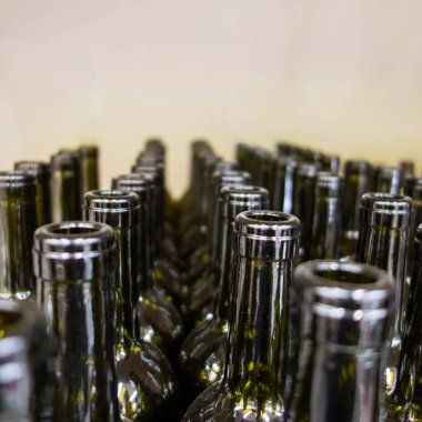 Şarap için siyah cam şişeler, şarap yapma konsepti. kopyalama alanı. arkaplan.