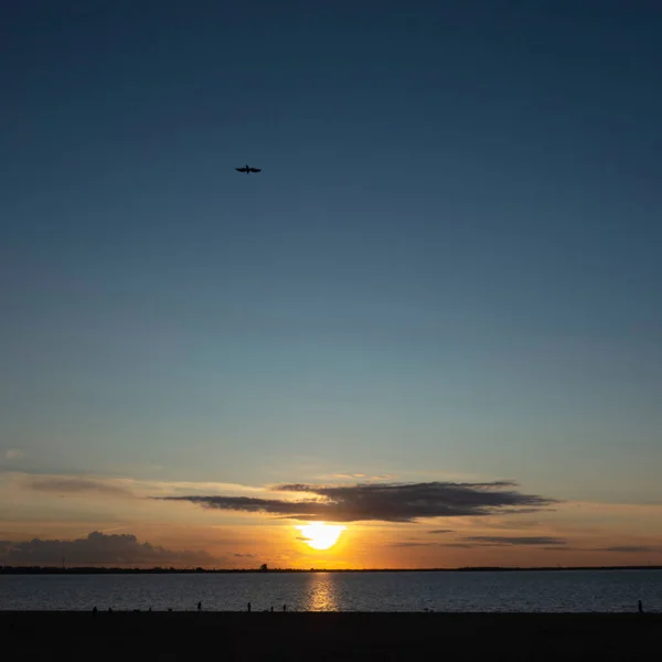 川の背景に沈む夕日空に浮かぶ鳥 — ストック写真