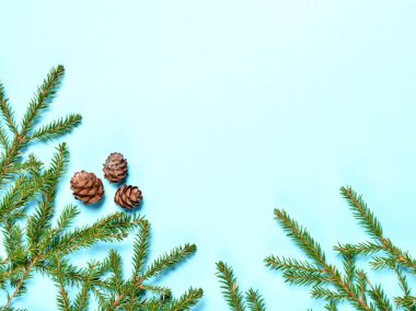 Açık yeşil-mavi arka planda yeni yıl konisi olan bir Noel ağacının dalları. Düz konum, üst görünüm, kopyalama alanı.