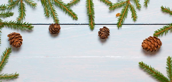 Branches Christmas Tree Cones New Year Composition White Blue Background — Stock Photo, Image