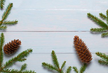 Yılbaşı konisi olan bir Noel ağacının dalları tahtadaki beyaz-mavi arka planda. Düz konum, üst görünüm, kopyalama alanı.