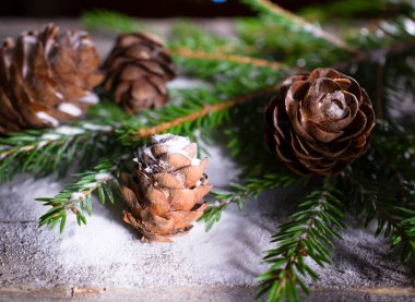 Noel ağacının dallarına biraz kar serpiştirilmiş koniler, Noel ve Yeni Yıl 'la tanışma konsepti. Boşluğu kopyala.