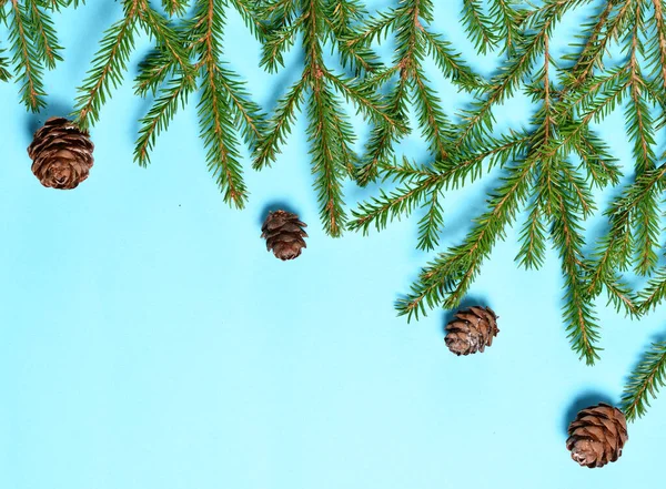 Las Ramas Del Árbol Navidad Con Los Conos Composición Año — Foto de Stock