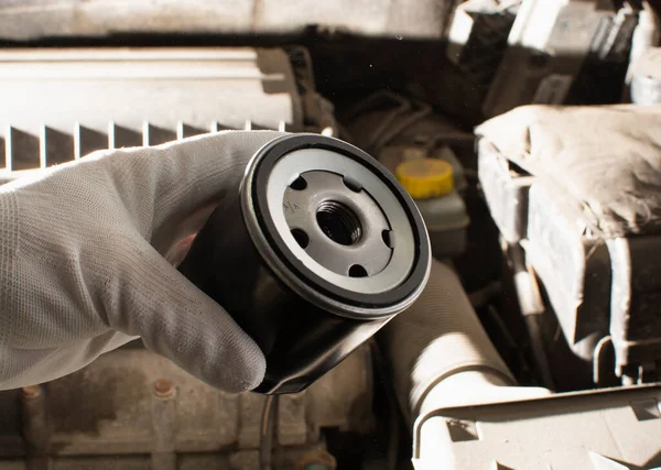 Araba için motor yağı değiştiren, eldivenli bir adam yeni bir yağ filtresi tutuyor. konsept araba bakım ve onarım. Boşluğu kopyala.