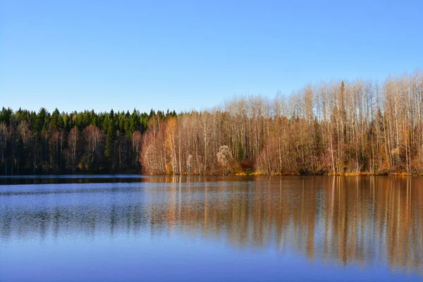 Paysage Vue Automne Sur Forêt Près Lac Reflet Des Arbres — Photo