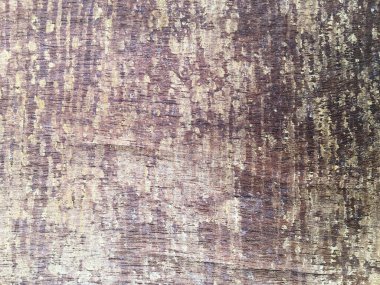 Tasarım veya iş için eski ahşap doku arkaplanı