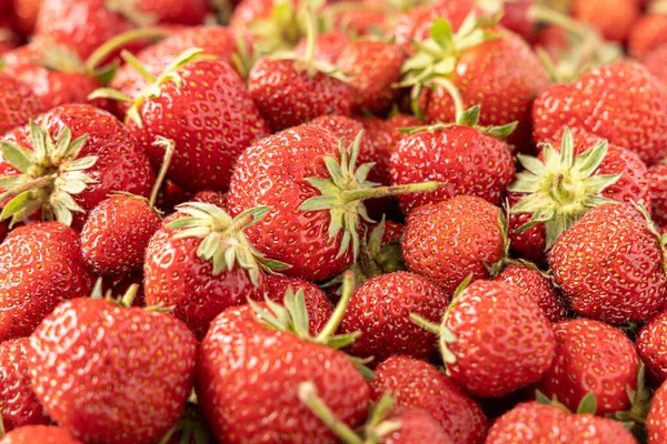 Image Fraises Rouges Savoureuses Vue Latérale Gros Plan — Photo