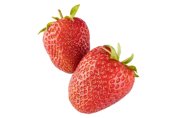 Vereinzelte Erdbeeren Erdbeeren Früchte Isoliert Auf Weißem Hintergrund Mit Clipping — Stockfoto