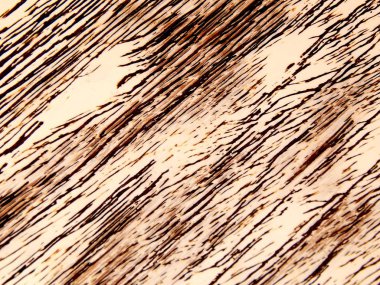 Doku tasarım ahşap el yapımı yaşlanma. Mobilya ve iç dekorasyon için öğe