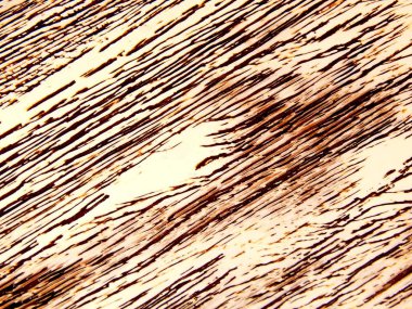 Doku tasarım ahşap el yapımı yaşlanma. Mobilya ve iç dekorasyon için öğe