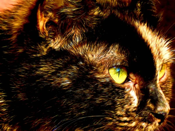 Иллюстрация Кота Черном Фоне Крупным Планом — стоковое фото