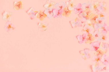 Pembe arka planda izole edilmiş renkli çiçekleri olan çerçeve 
