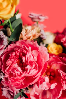 Kırmızı arka planda renkli çiçekleri olan güzel bir buket.