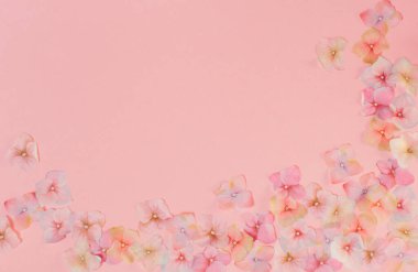 Pembe arka planda izole edilmiş renkli çiçekleri olan çerçeve 