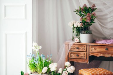 Mor kumaş bahar çiçekleri ve ahşap eski mobilyaların üzerindeki yeşilliklerle süslenmiş klasik bir odada, beyaz ahşap bir zeminde geniş pencere ve tül perdelerin yanında.