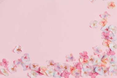 Pembe arka planda izole edilmiş renkli çiçekleri olan çerçeve 