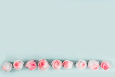 Pembe güllü güzel çiçek kompozisyonu, üst görünüm, kopyalama alanı arkaplanı