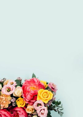 mavi pastel arkaplanda izole edilmiş güzel renkli çiçekler, metin için yeri olan kopyalama alanı