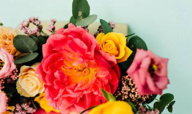 mavi pastel arkaplanda izole edilmiş güzel renkli çiçekler, metin için yeri olan kopyalama alanı