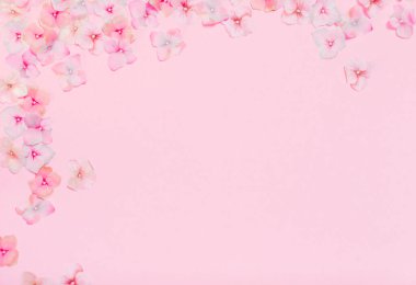 Pembe arka planda izole edilmiş renkli çiçekleri olan çerçeve 