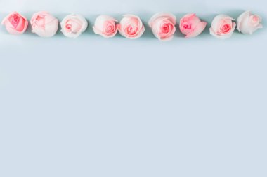 Pembe güllü güzel çiçek kompozisyonu, üst görünüm, kopyalama alanı arkaplanı