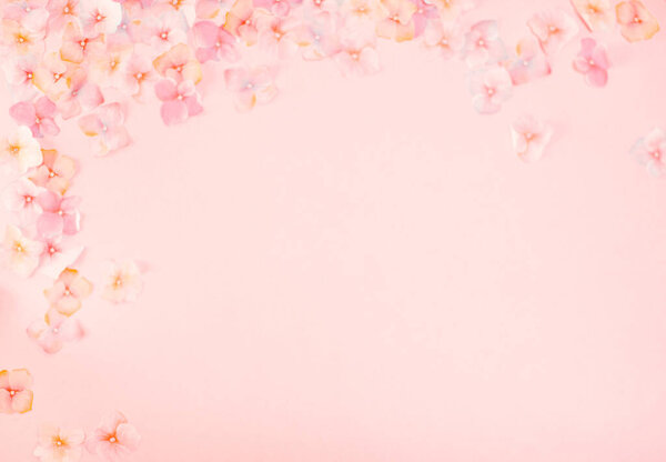 Frame with colorful flowers isolated on pink background 