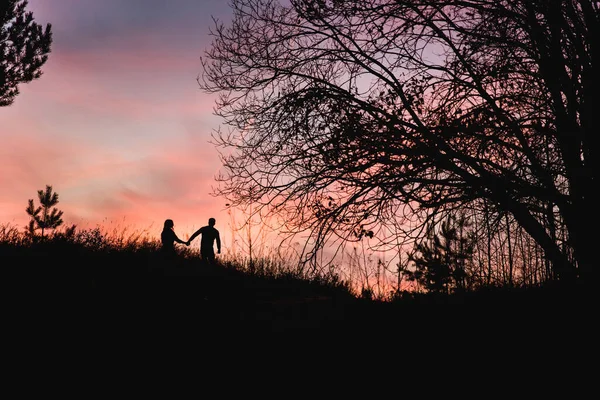 Silhouette Couple Dans Champ Coucher Soleil Dans Soirée — Photo