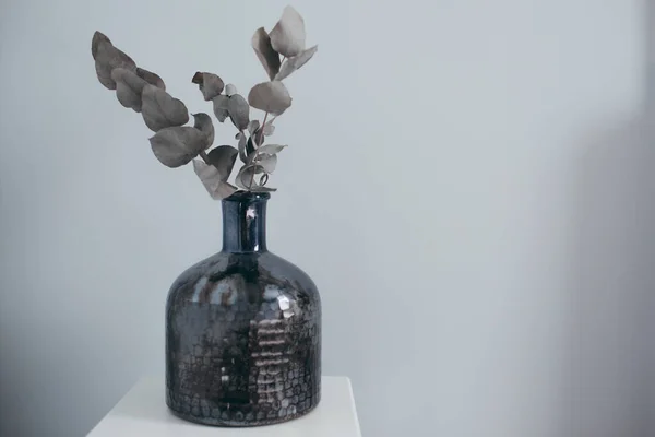 银滴桉树 有时在纹理玻璃暗花瓶中被称为苹果酒 集中精神白色灰墙背景 — 图库照片