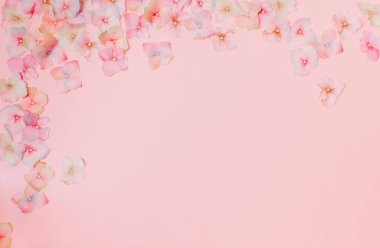 Pembe arka planda izole edilmiş renkli çiçekleri olan çerçeve 